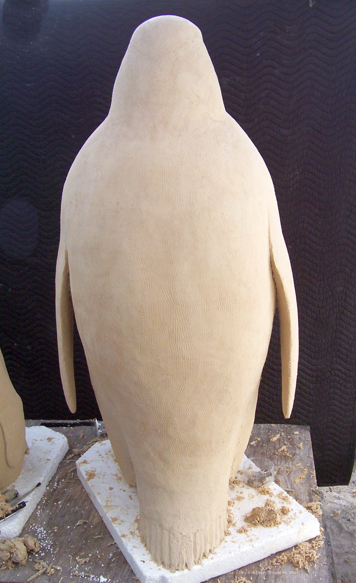 Emperor Penguins Details65