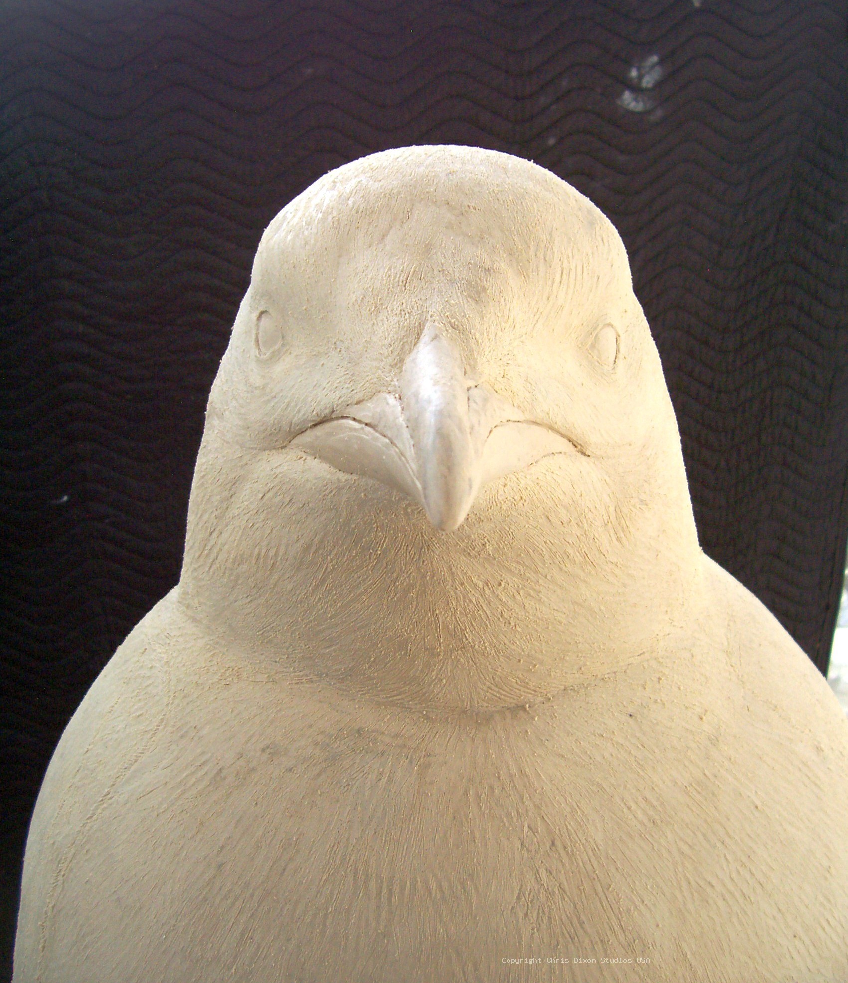 Emperor Penguins Details68