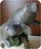 manatees