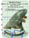 MANATEES FPL GRID