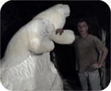 View Manatees FPL 6ft-CARVE-91