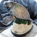 View Manatees FPL 6ft-COATED-18