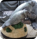 View Manatees FPL 6ft-COATED-25