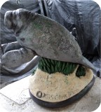 View Manatees FPL 6ft-COATED-27