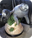 View Manatees FPL 6ft-FINISHED2-62