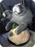View Manatees FPL 6ft-FINISHED2-63