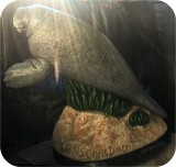 View Manatees FPL 6ft-FINISHED2-65