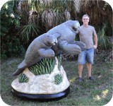 View Manatees FPL 6x8ft-80