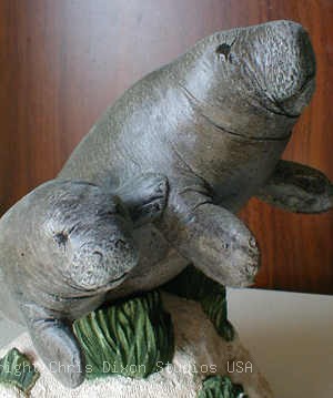 2 4 Manateeheads300359jpg
