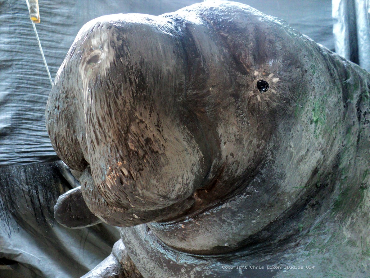 Manatees FPL 6ft COATED 20