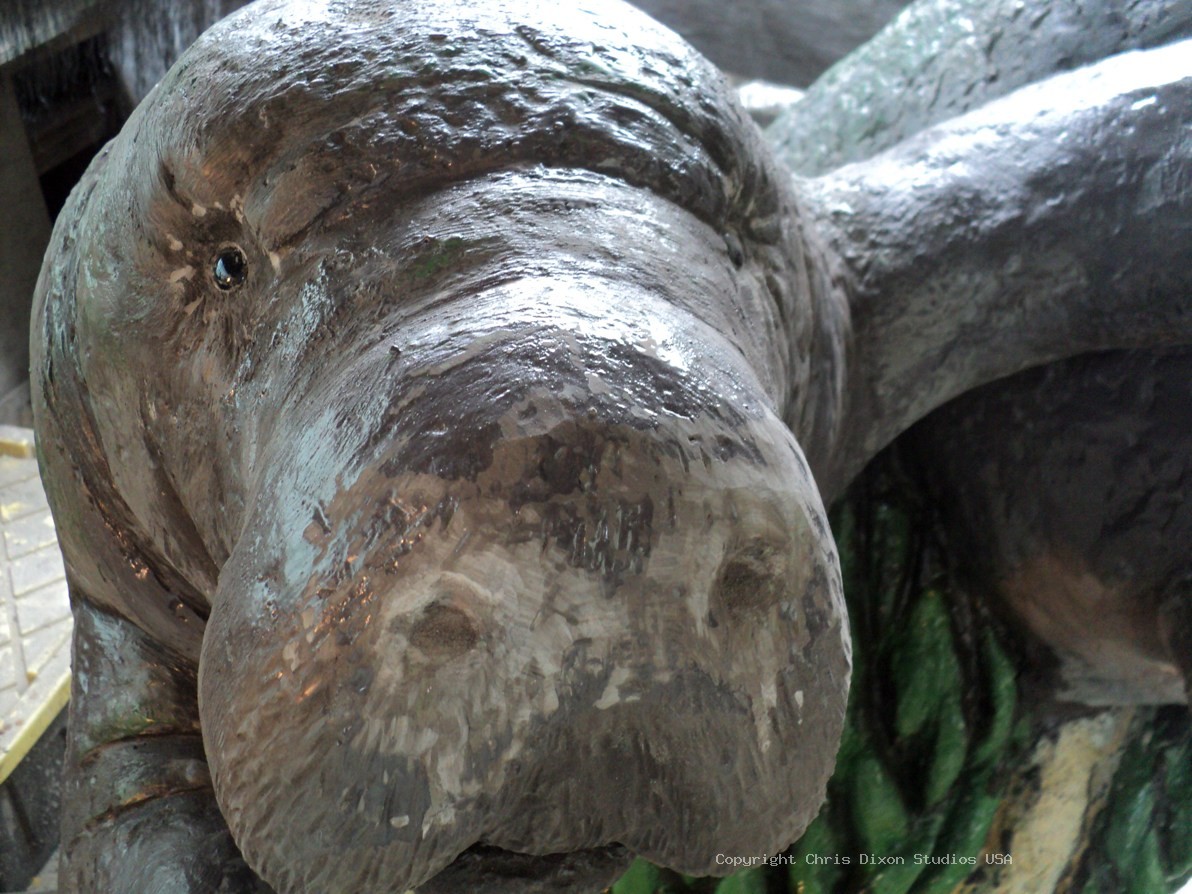 Manatees FPL 6ft COATED 23