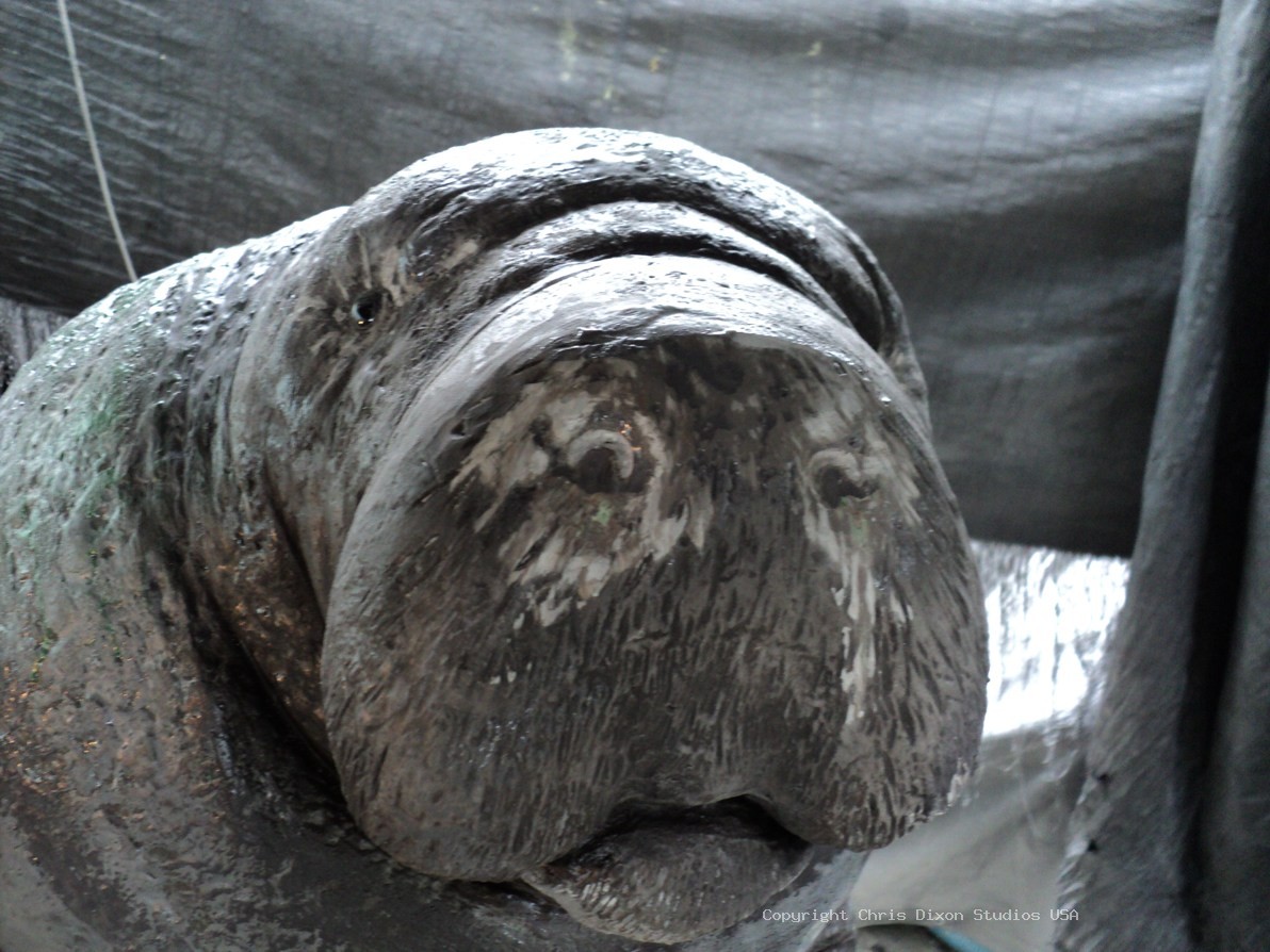 Manatees FPL 6ft COATED 24