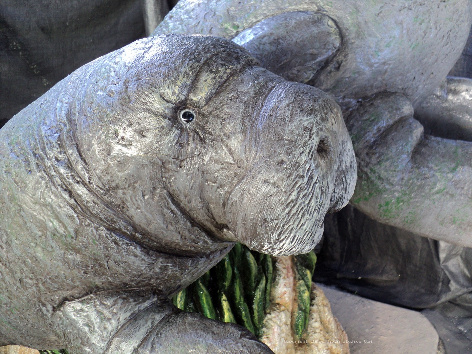 Manatees FPL 6ft FINISHED2 60