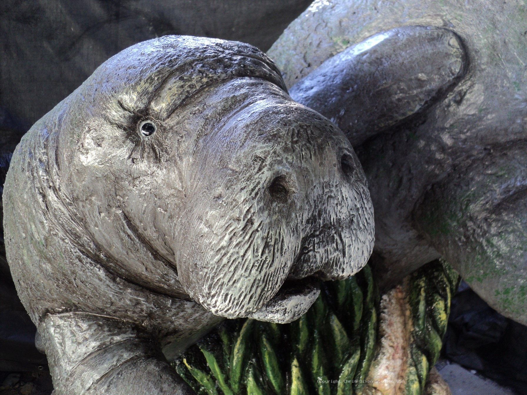 Manatees FPL 6ft FINISHED2 61