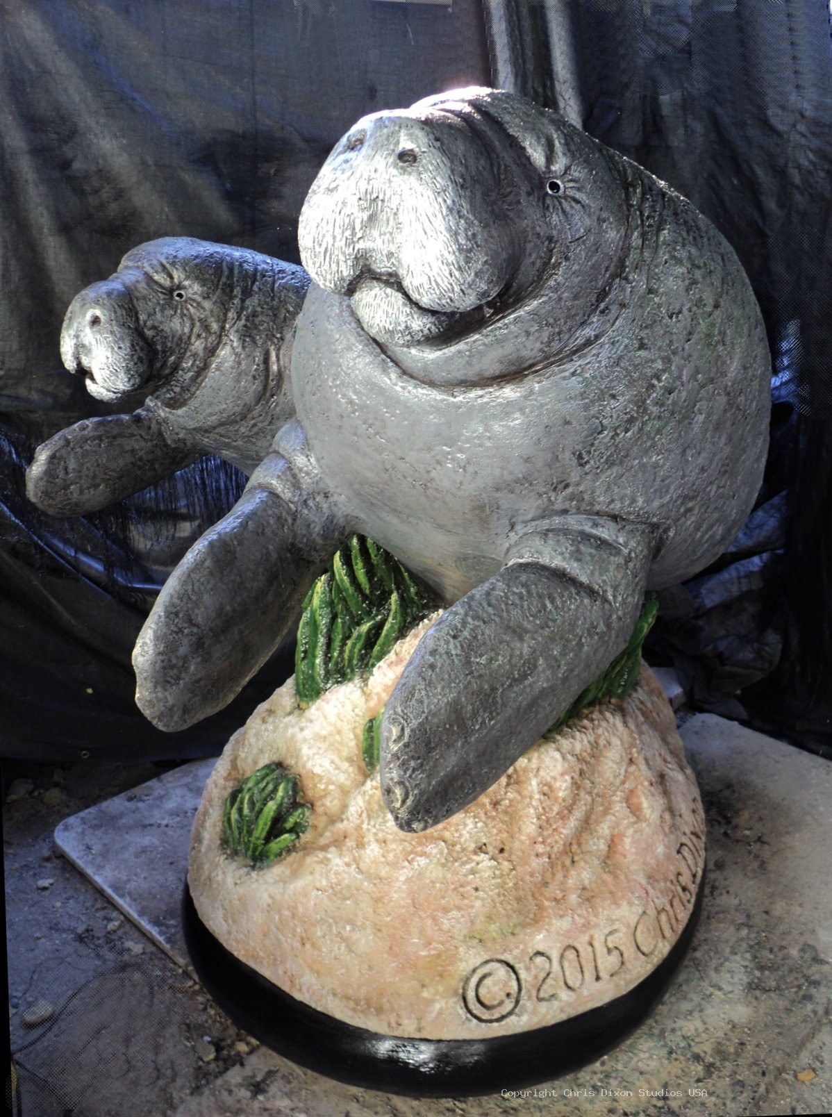 Manatees FPL 6ft FINISHED2 63