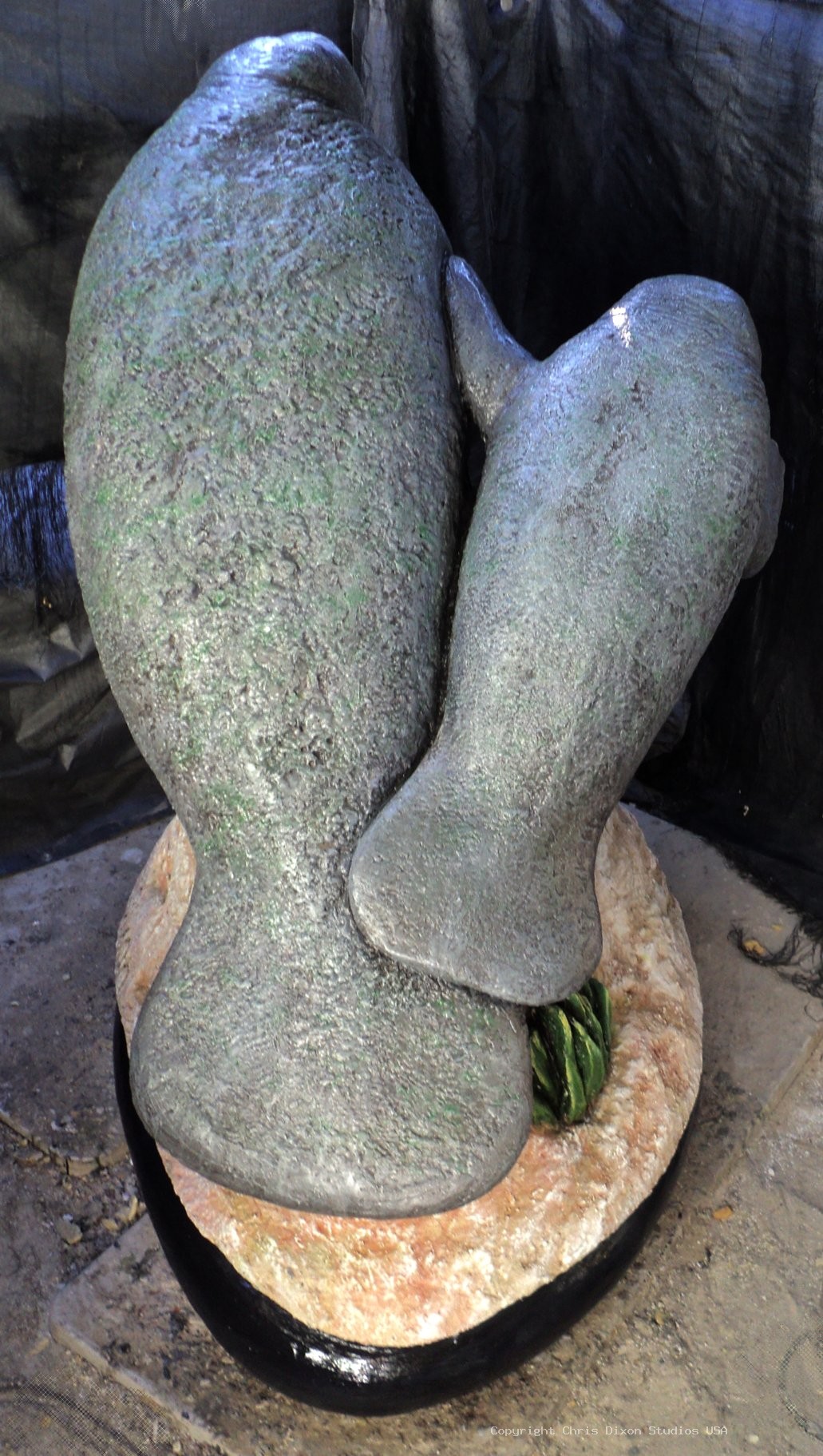 Manatees FPL 6ft FINISHED2 68
