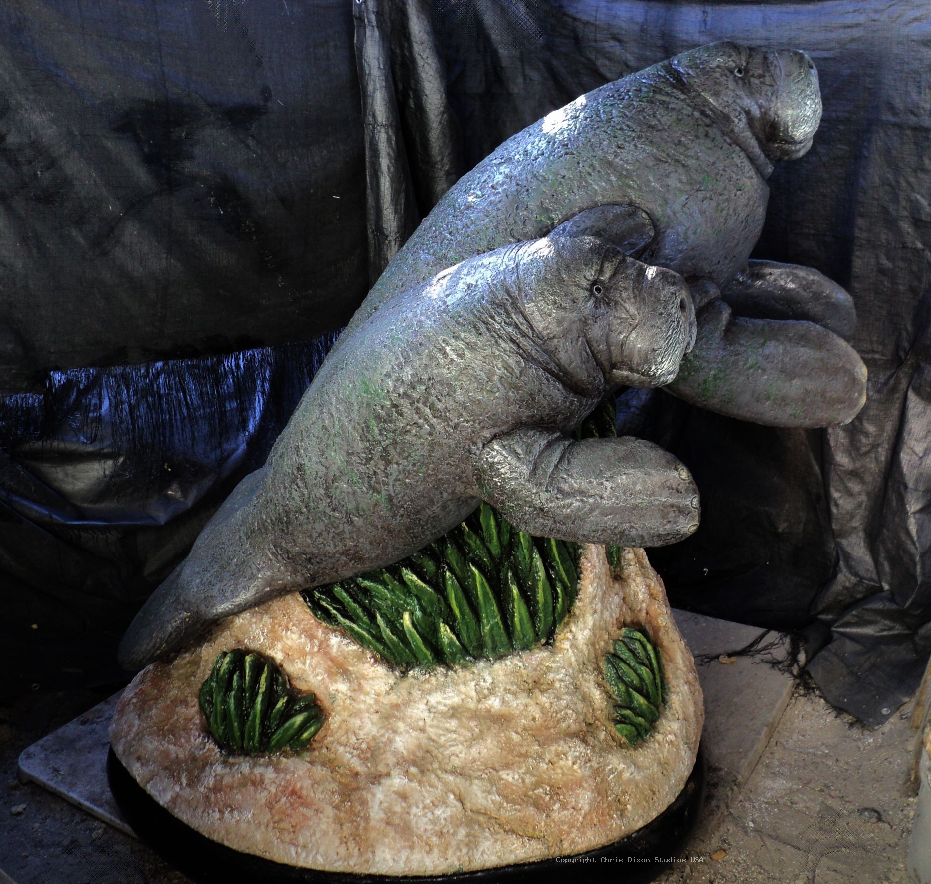 Manatees FPL 6ft FINISHED2 69