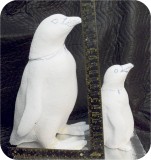Magellanic Penguin MANAKIN 07