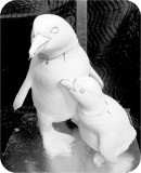 Magellanic Penguin MANAKIN 09