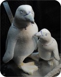 Magellanic Penguin MANAKIN 11