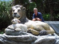 lions
