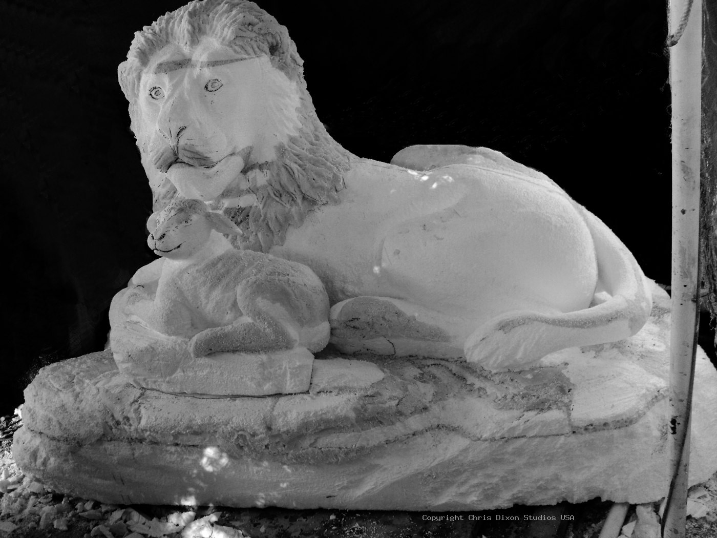 Lion Lamb Carved09