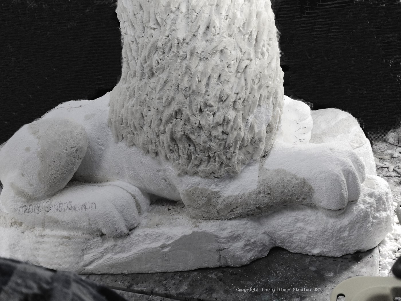 Lion Lamb Carved14
