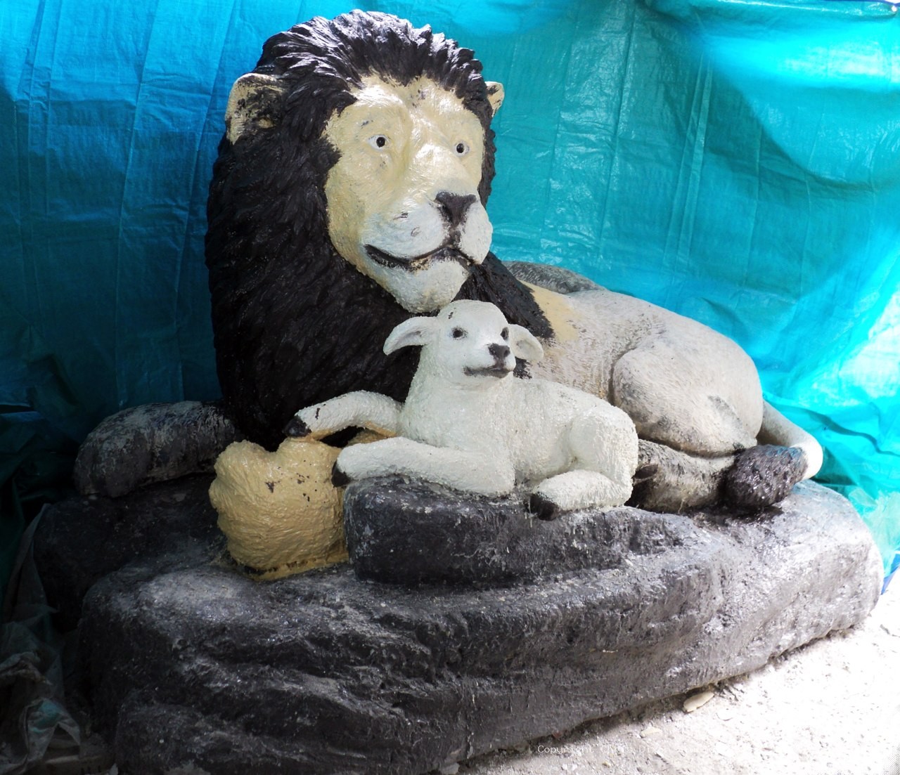 Lion Lamb Coated37