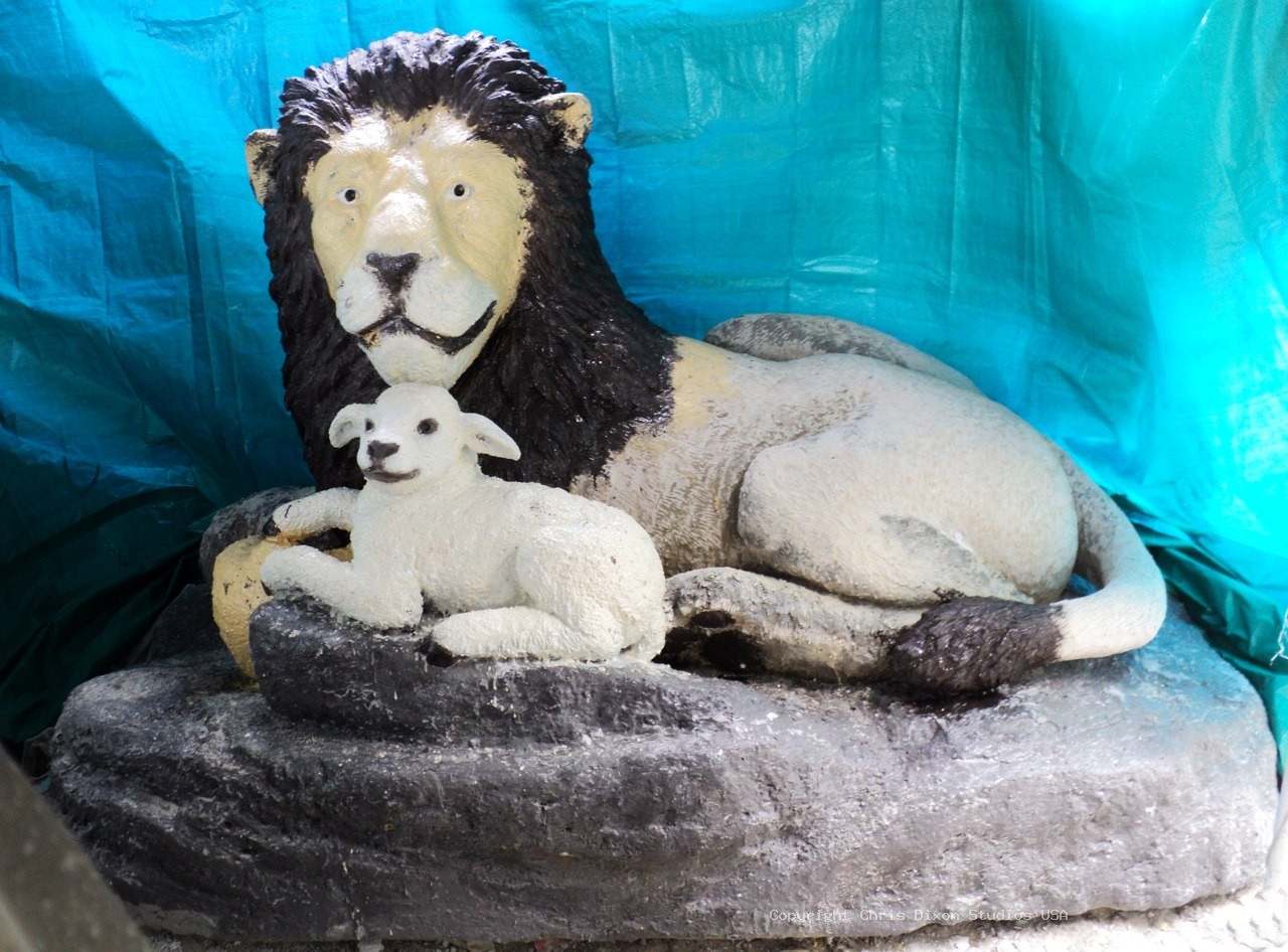 Lion Lamb Coated38