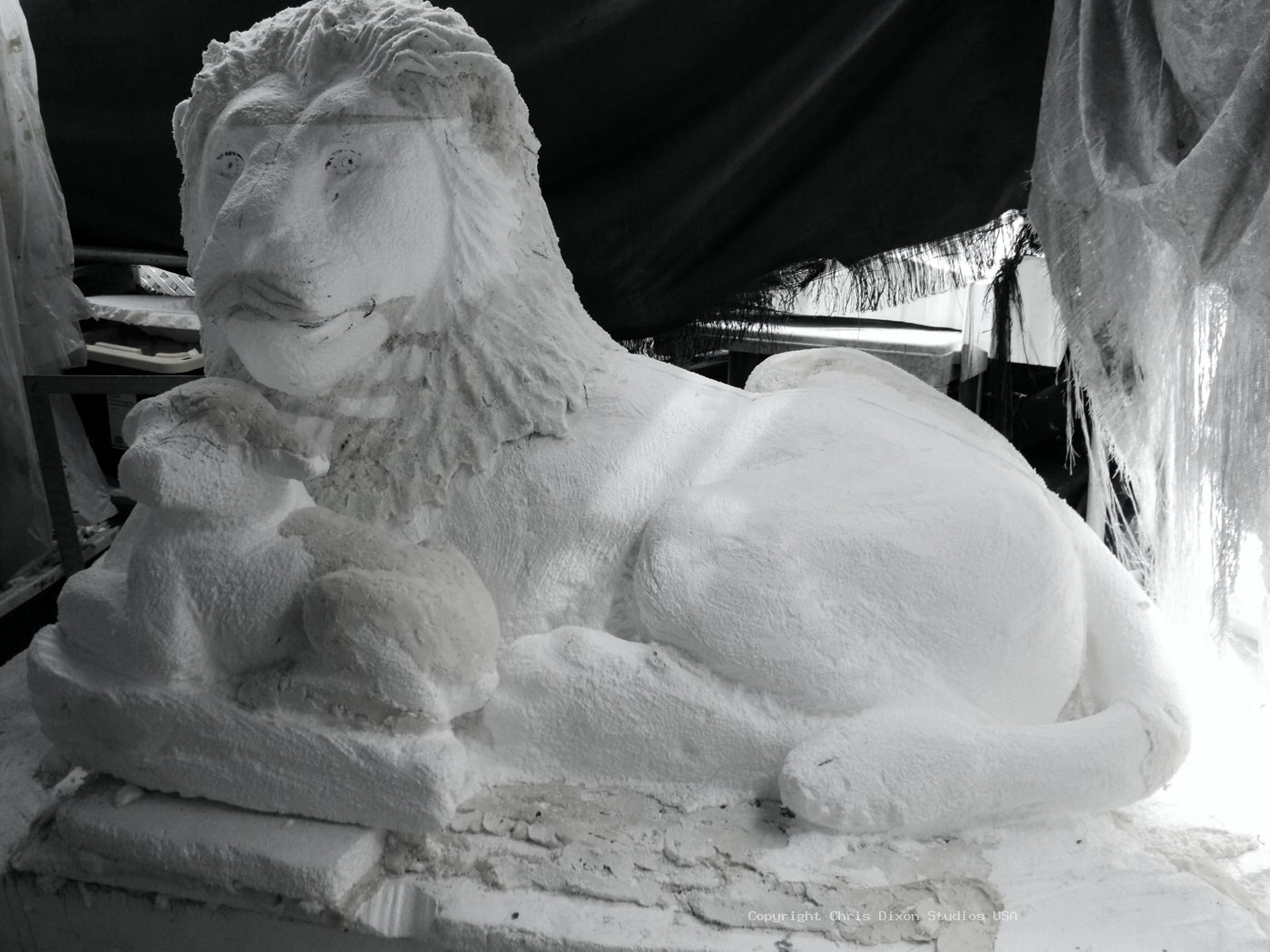 Lion Lamb Foam 01