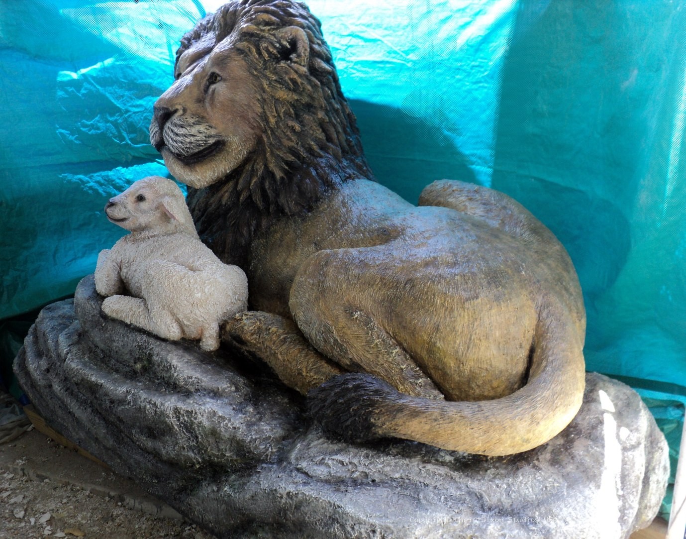 Lion And Lamb46