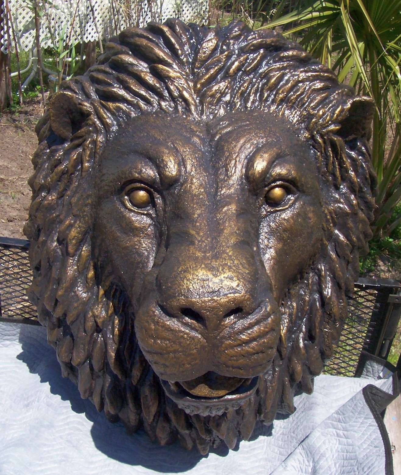 Lion Head 3ft Bronzed77