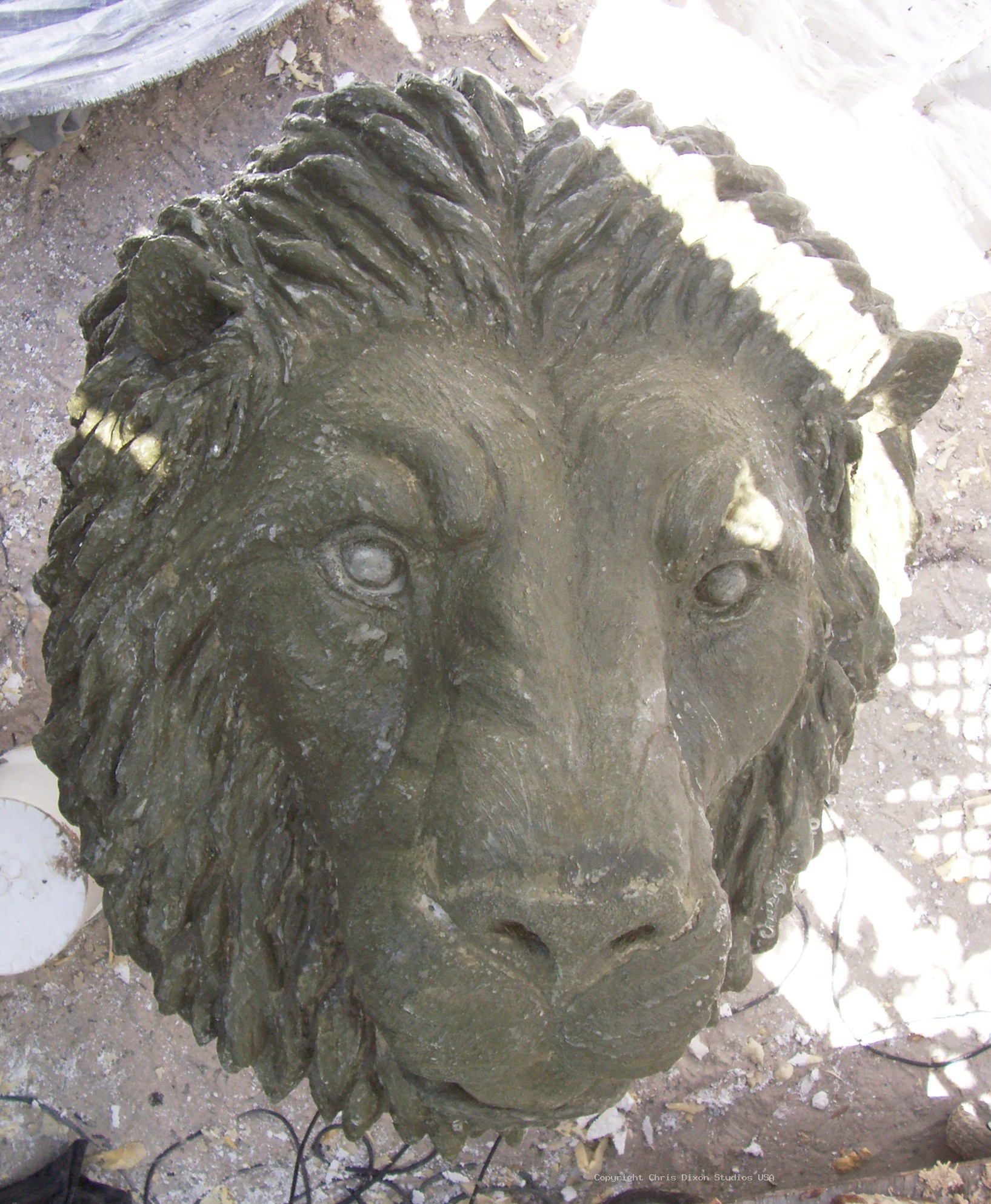 Lion Head 3ft Coated67