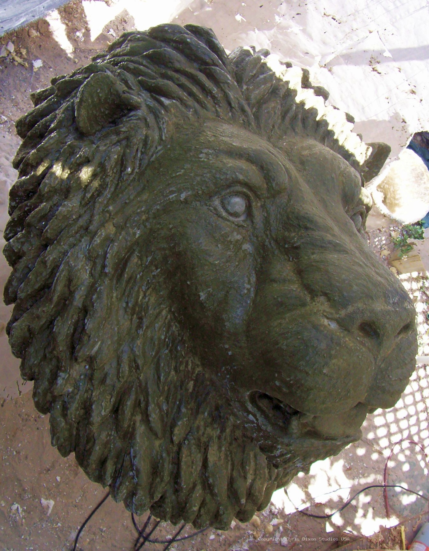 Lion Head 3ft Coated68
