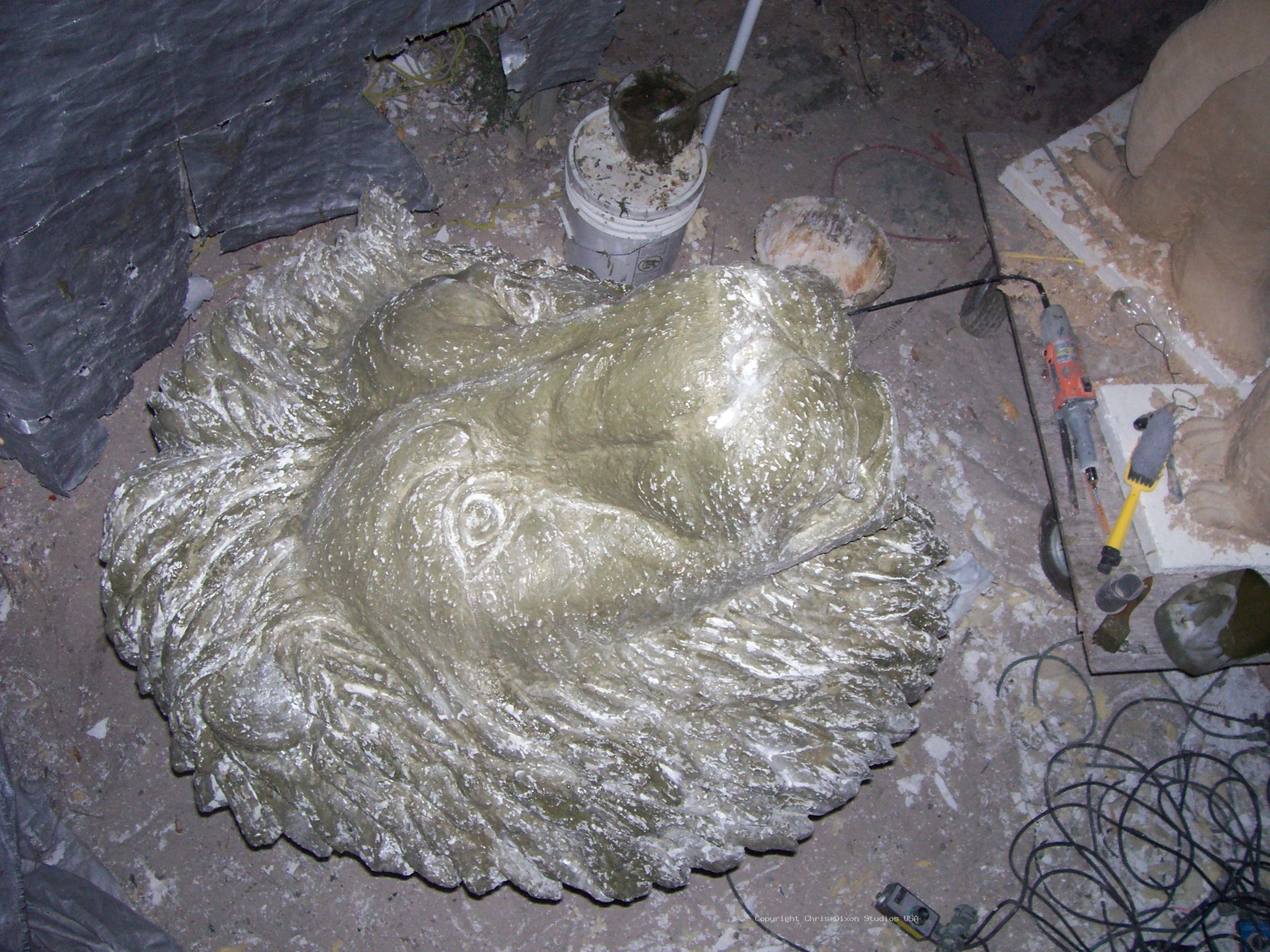 Lion Head 3ft Coating61