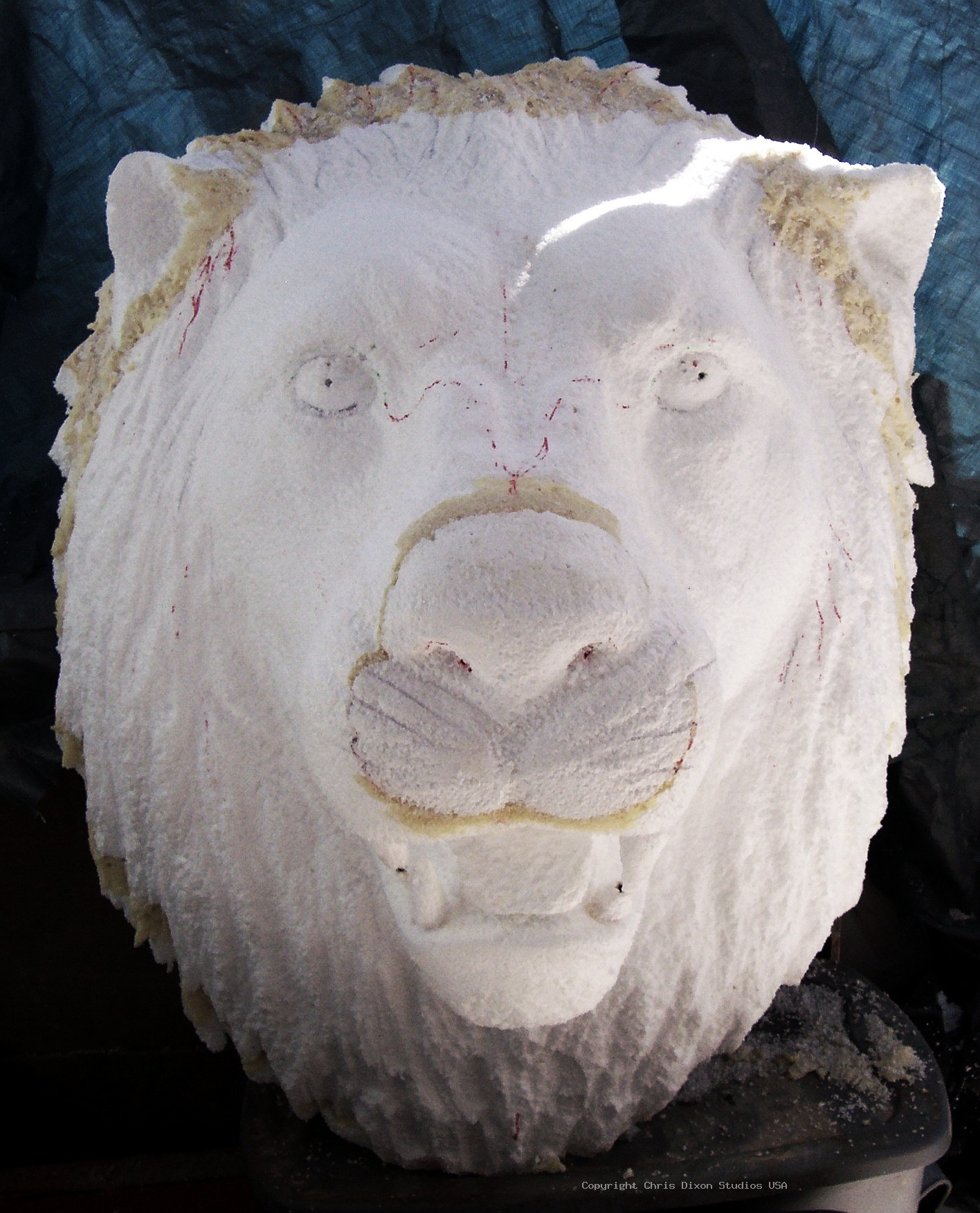 Lion Head 3ft Foam30