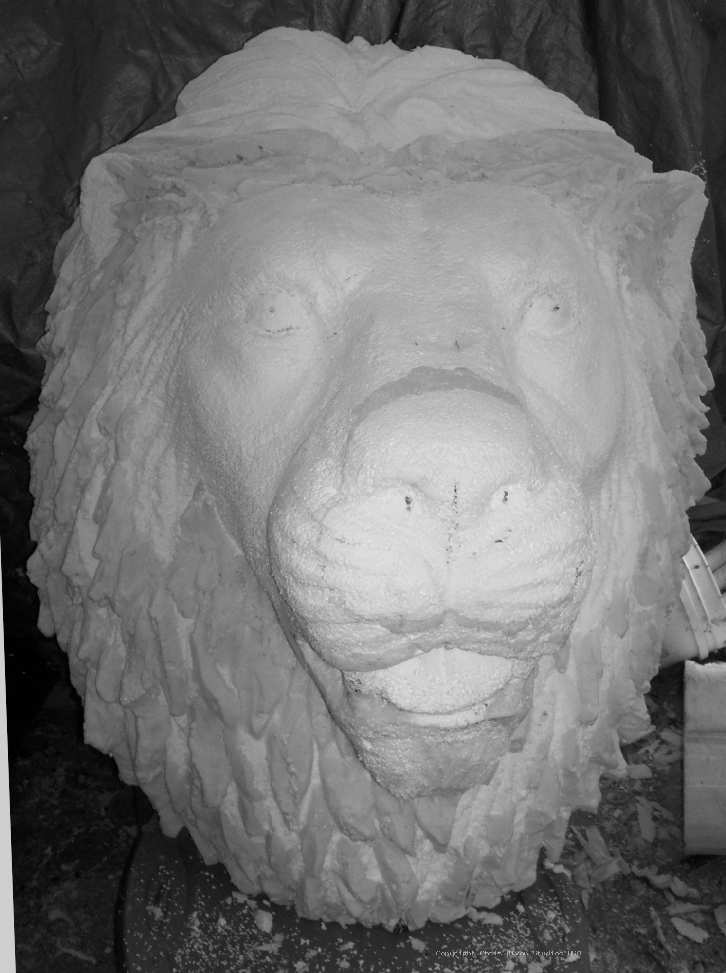 Lion Head 3ft Foam35