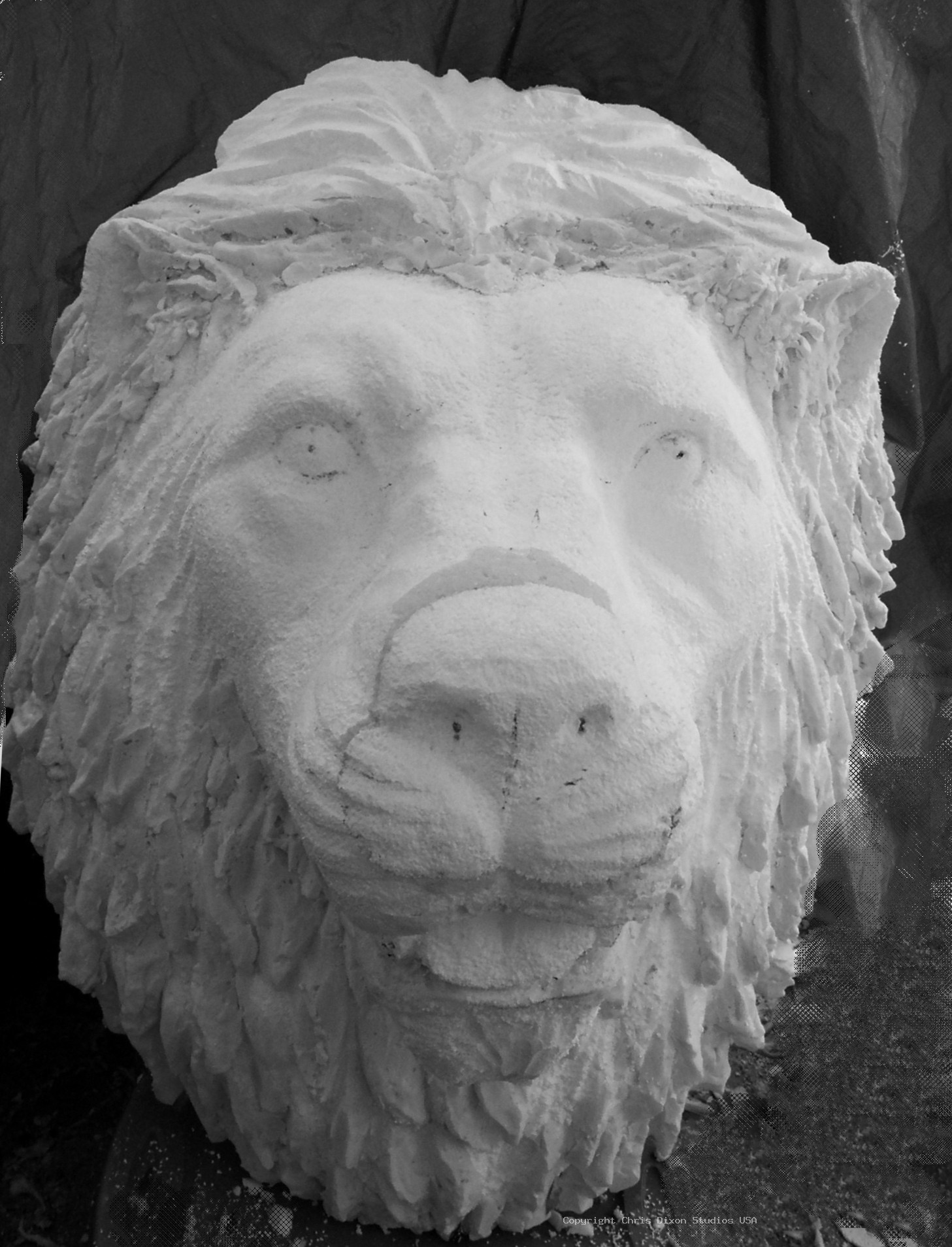 Lion Head 3ft Foam36