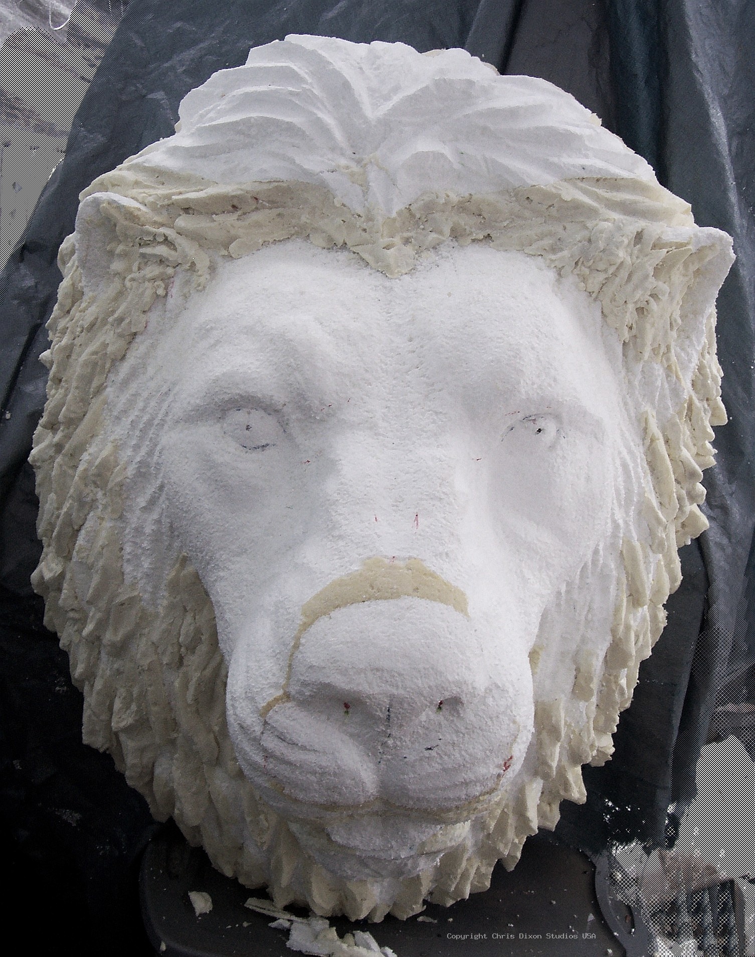 Lion Head 3ft Foam37
