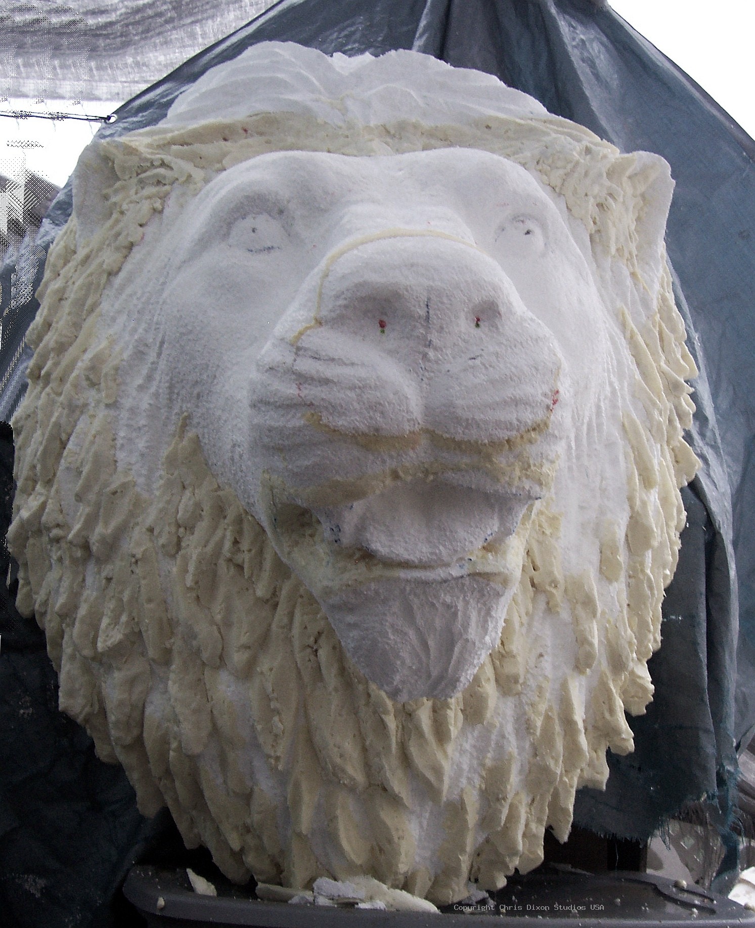 Lion Head 3ft Foam38