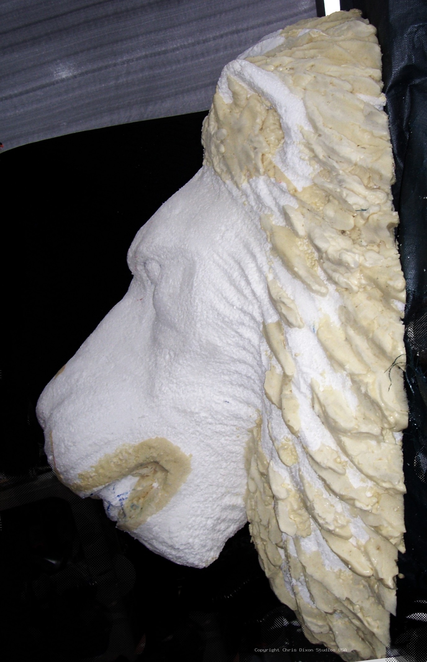 Lion Head 3ft Foam39