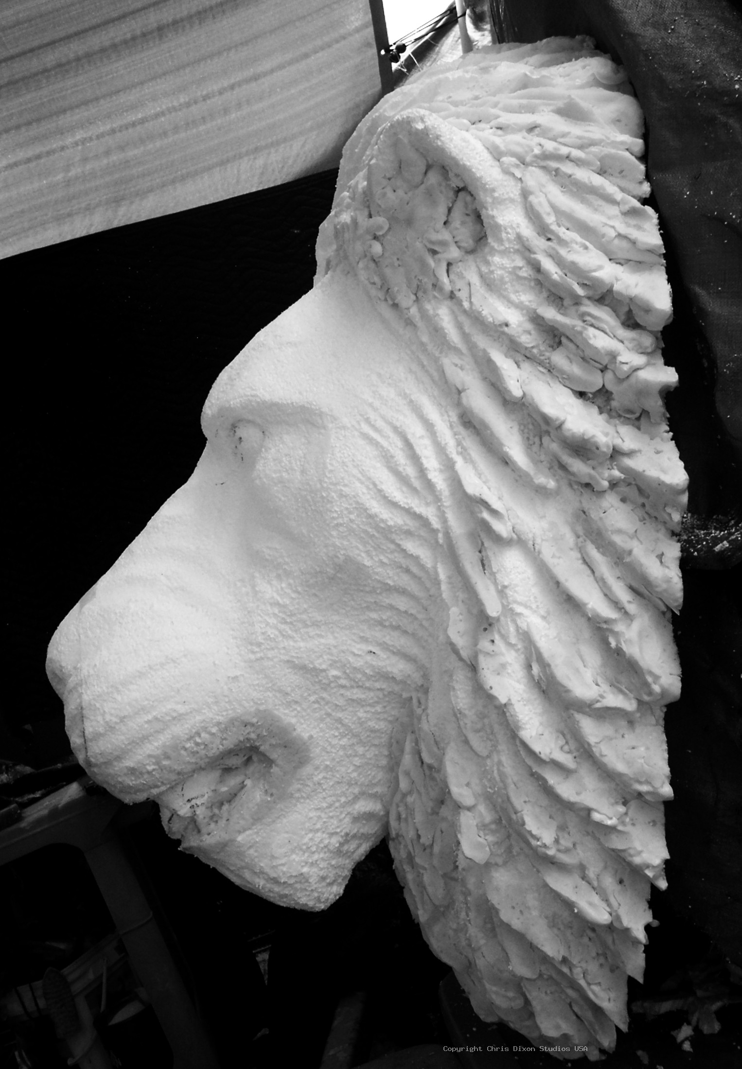Lion Head 3ft Foam41