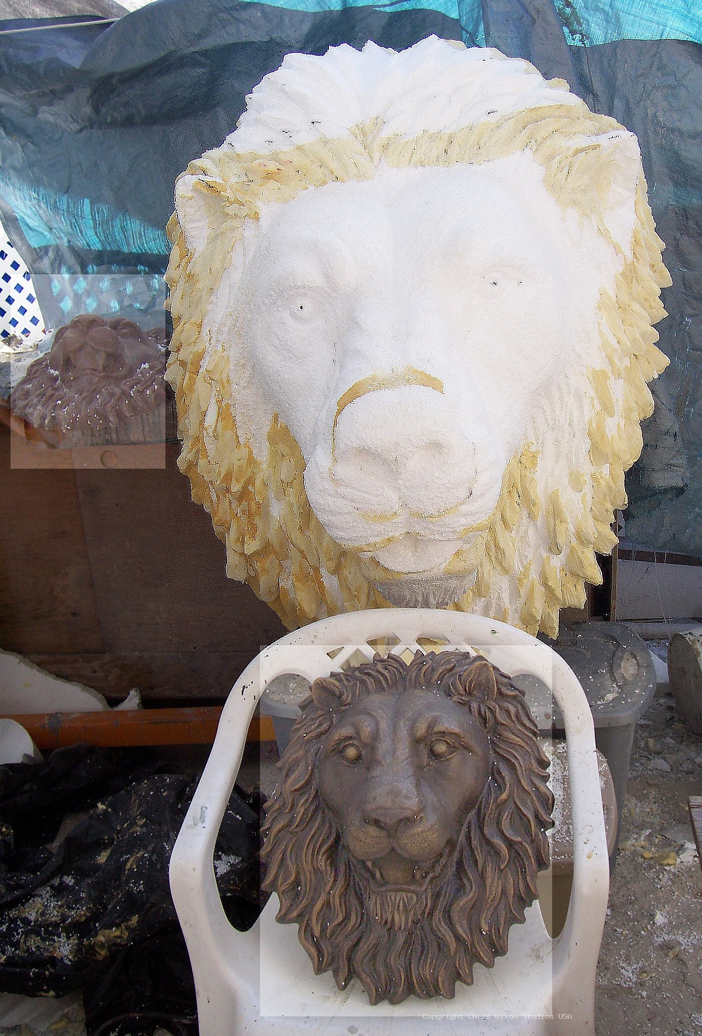 Lion Head 3ft Foamed43