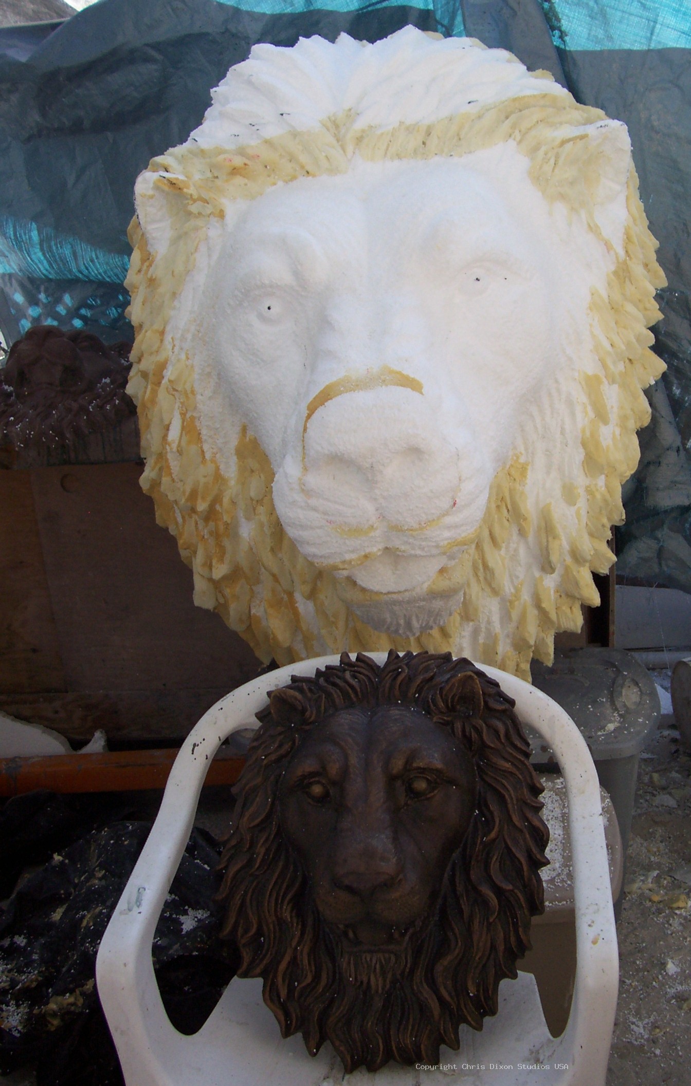 Lion Head 3ft Foamed45