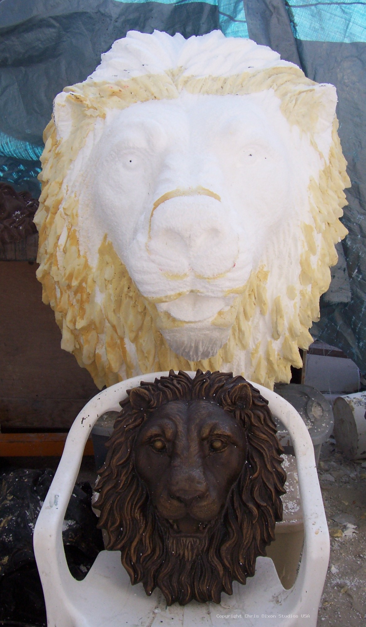 Lion Head 3ft Foamed46