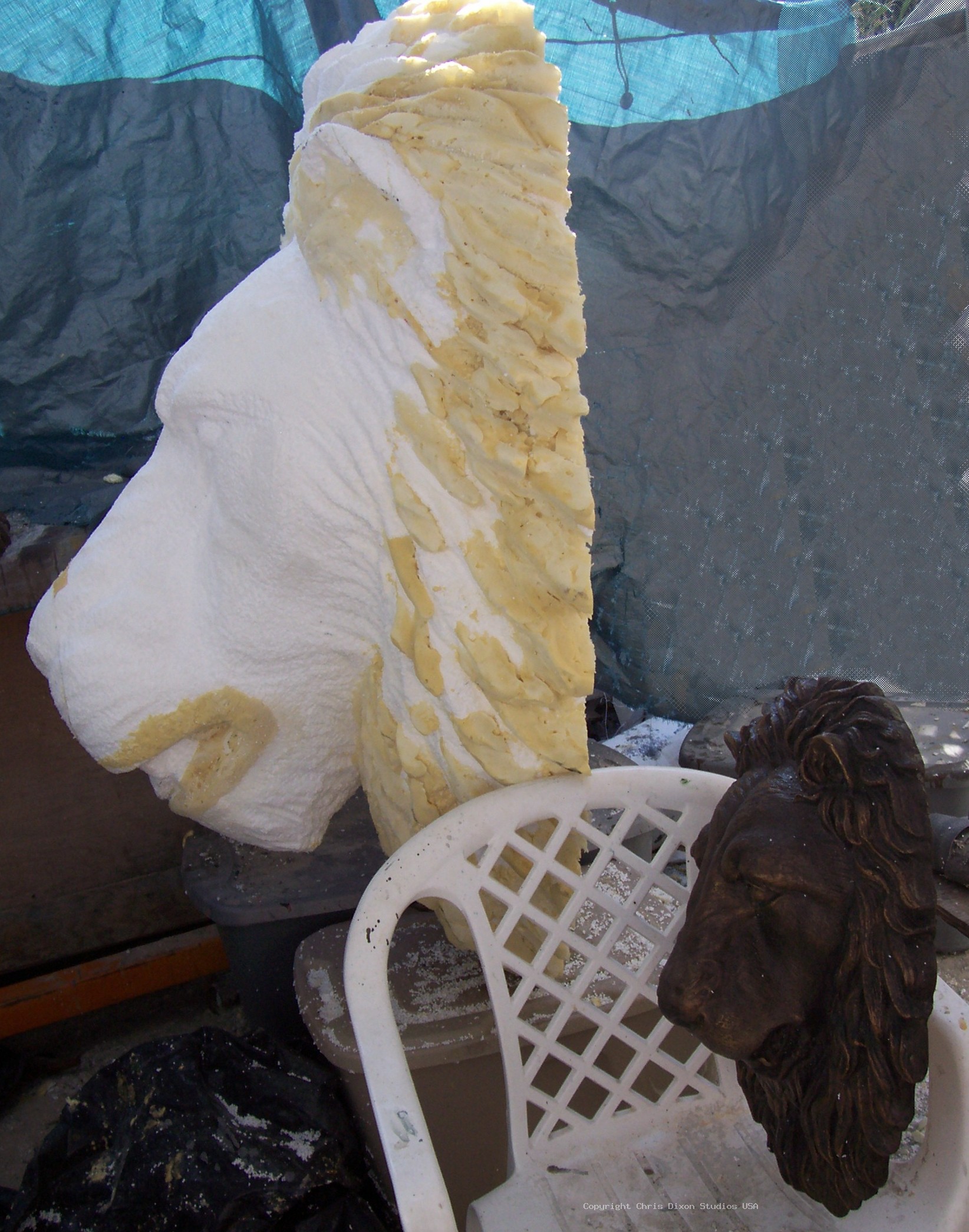 Lion Head 3ft Foamed49
