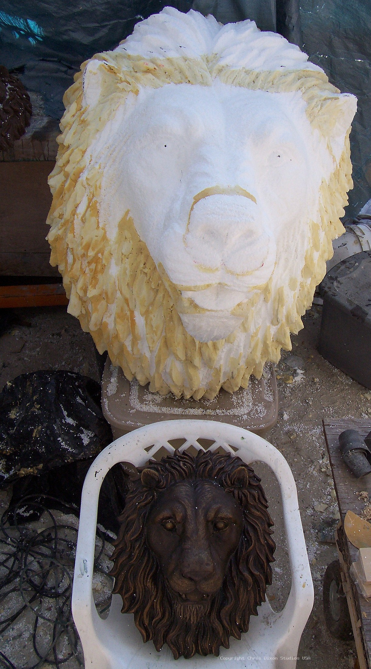Lion Head 3ft Foamed52