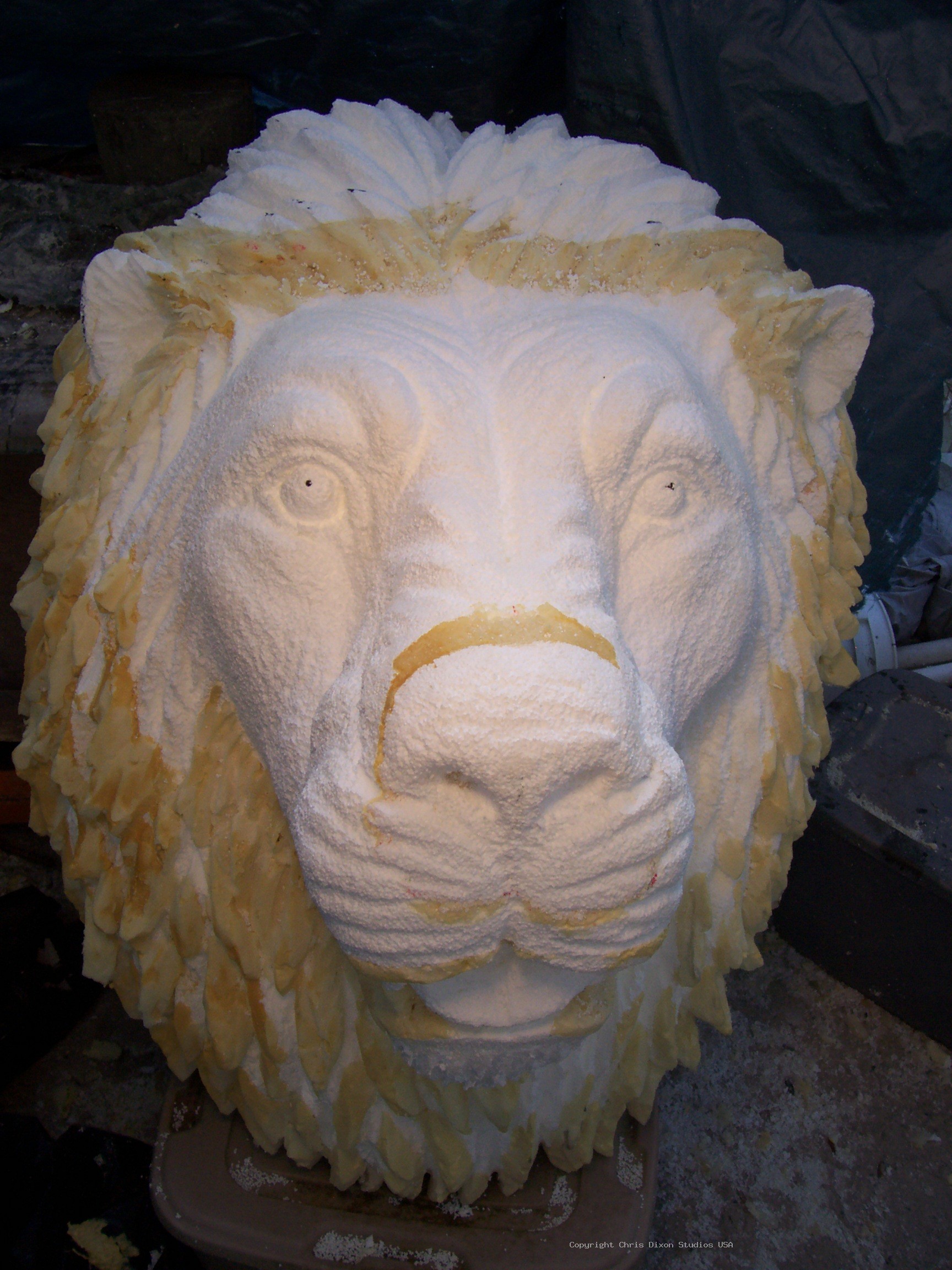 Lion Head 3ft Foamed56