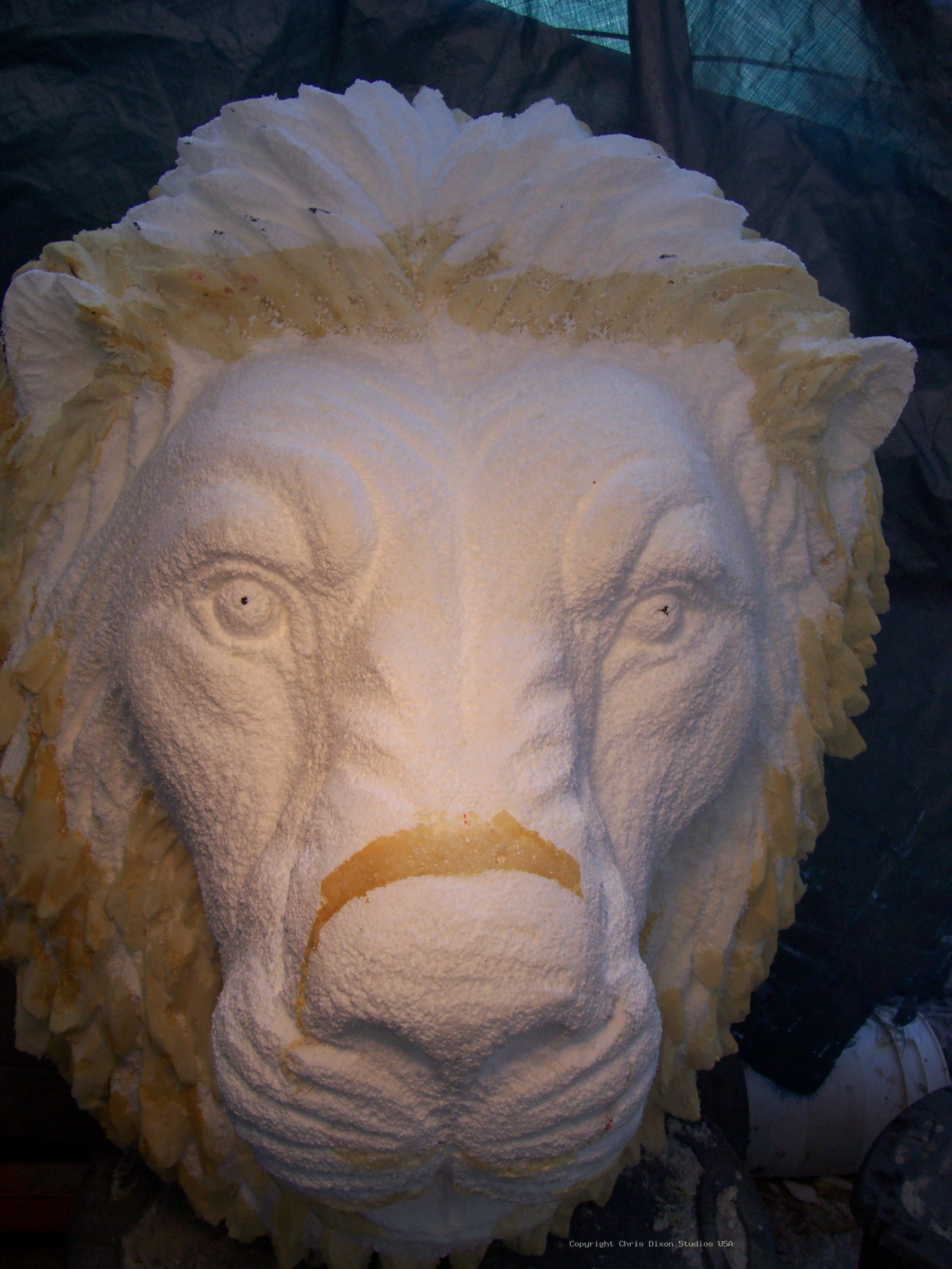 Lion Head 3ft Foamed57