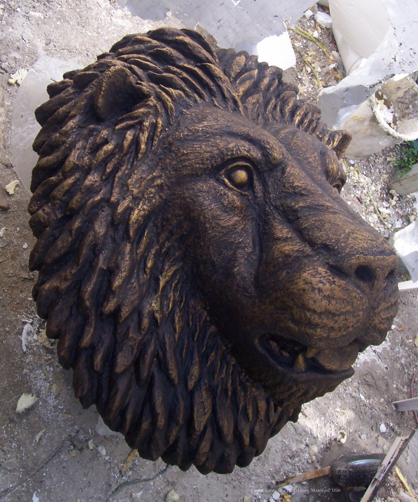 Lion Head 3ft Painted71
